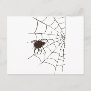The Black Widow Postcard