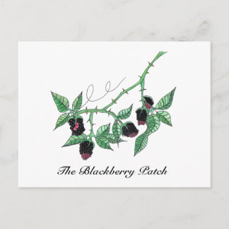 The Blackberry Patch...Postcard Postcard