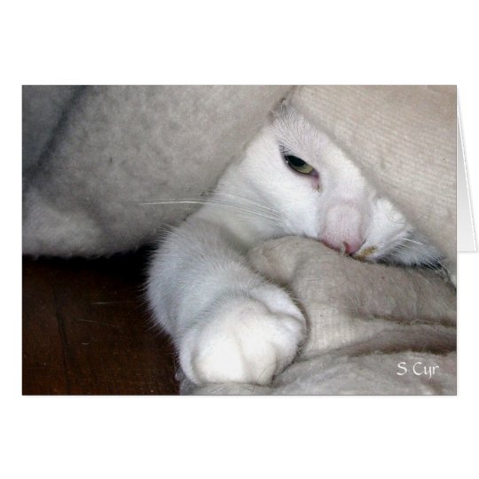 The Blanket Game, S Cyr Card