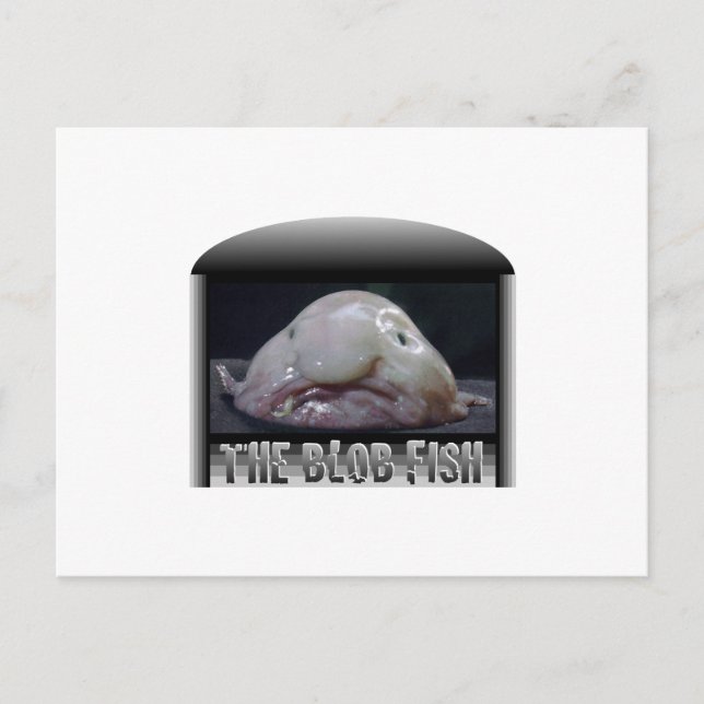 The Blob Fish Postcard (Front)