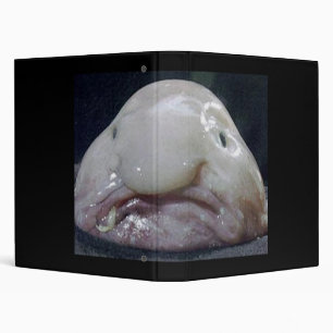 The Blobfish Binder