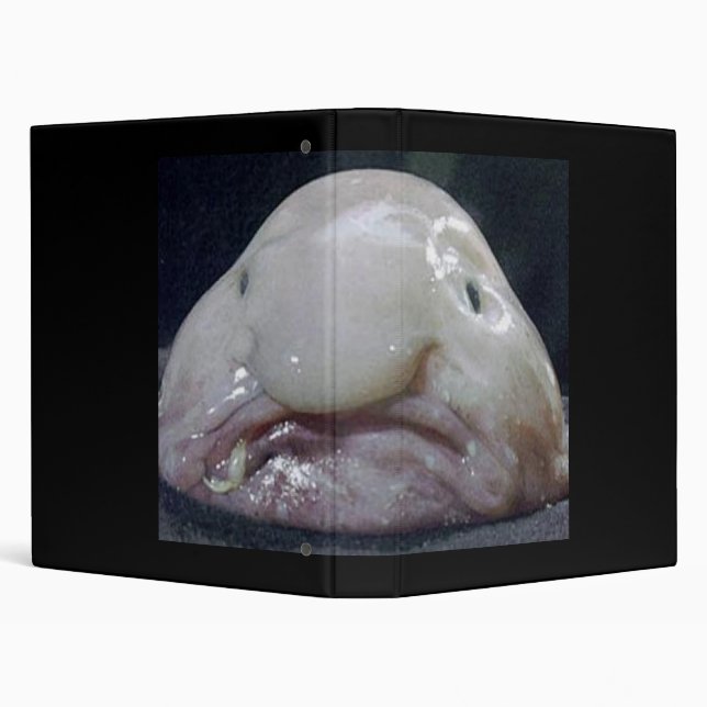 The Blobfish Binder (Background)