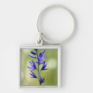 The blossom of a camas lily in Valley County, Keychain