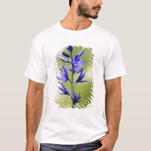 The blossom of a camas lily in Valley County, T-Shirt