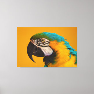 The Blue and Yellow Macaw Ara Ararauna Parrot Bird Canvas Print