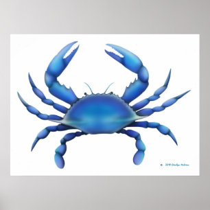 The Blue Crab Print