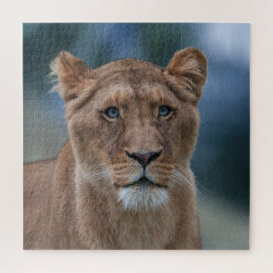 The Blue-Eyed Lioness Jigsaw Puzzle
