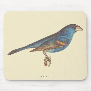 The Blue Grosbeak, James De Kay's New York Birds Mouse Pad