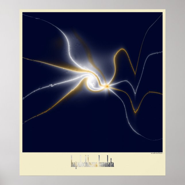 the blue ring octopus poster (Front)