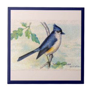 The Blue Tufted-Titmouse Bird Ceramic Tile