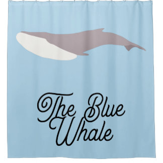 The Blue Whale Colour Block