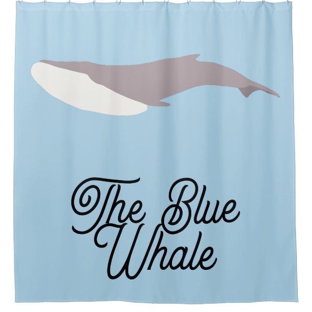 The Blue Whale Colour Block (Front)