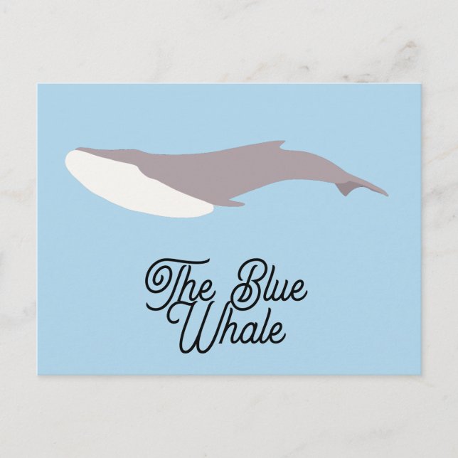 The Blue Whale Colour Block Holiday Postcard (Front)