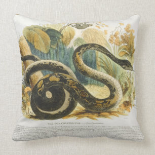 The Boa Constrictor, educational illustration pub. Throw Pillow
