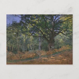 The Bodmer Oak, Fontainebleau Forest, Claude Monet Postcard