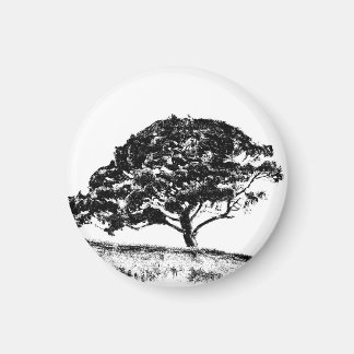 The Bonaventure Pine Magnet