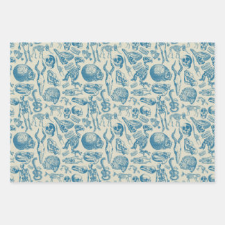 The Bone Collection Wrapping Paper Sheet