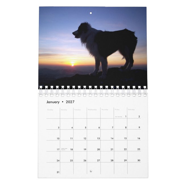 The Border Collie 2010 Calendar (Jan 2027)