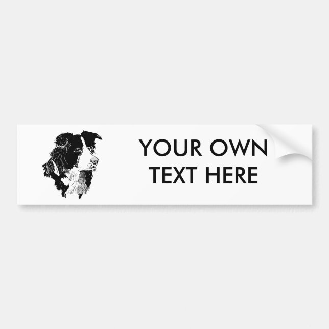 THE BORDER COLLIE BUMPER STICKER (Front)