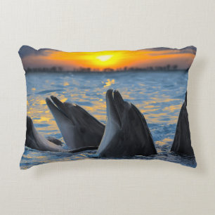 The bottle-nosed dolphins in sunset light accent pillow