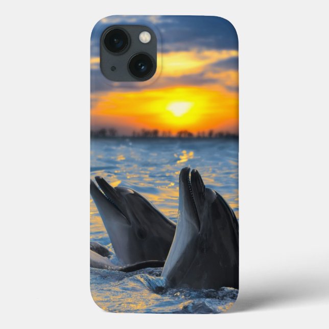 The bottle-nosed dolphins in sunset light Case-Mate iPhone case (Back)