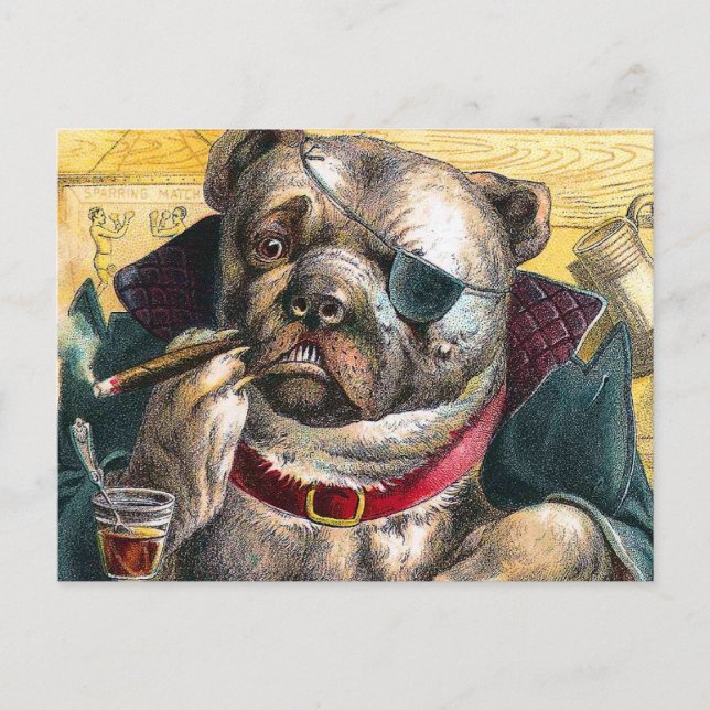 The Bouncer Dog Postcard (Front)