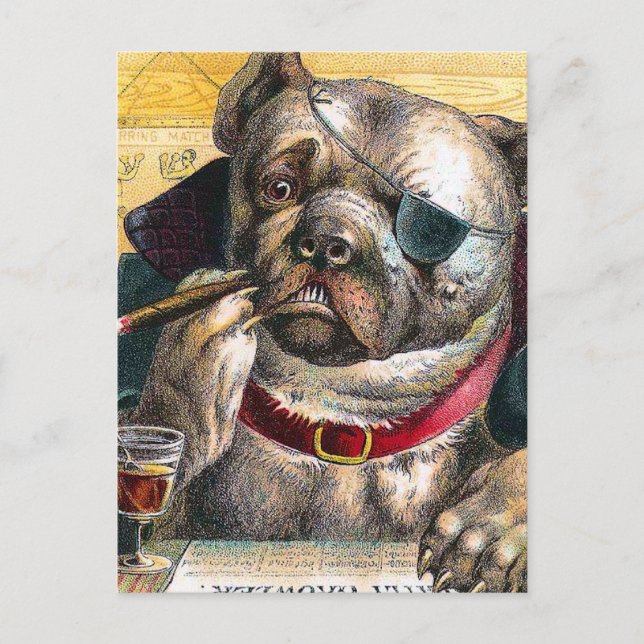 The Bouncer Dog Postcard (Front)