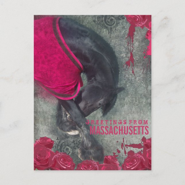 The Bow - Postcard (Front)