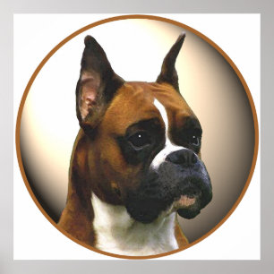 The Boxer Dog Poster