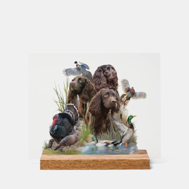 The Boykin Spaniel Acrylic Sign (Front)