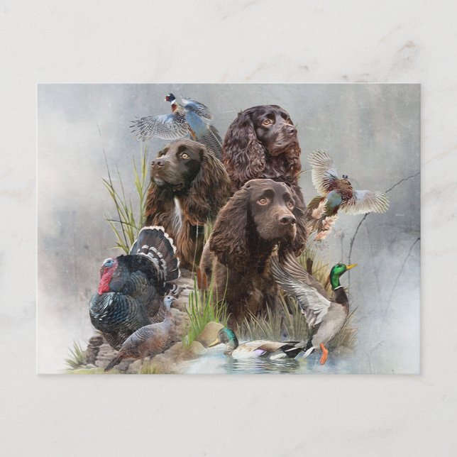 The Boykin Spaniel Holiday Postcard (Front)