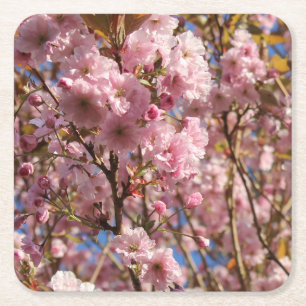 The bright Spring colour of cherry blossom Square Paper Coaster