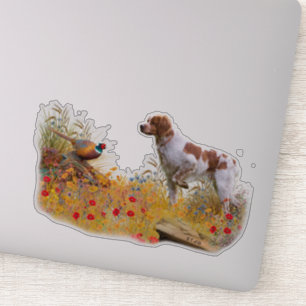 The Brittany spaniel