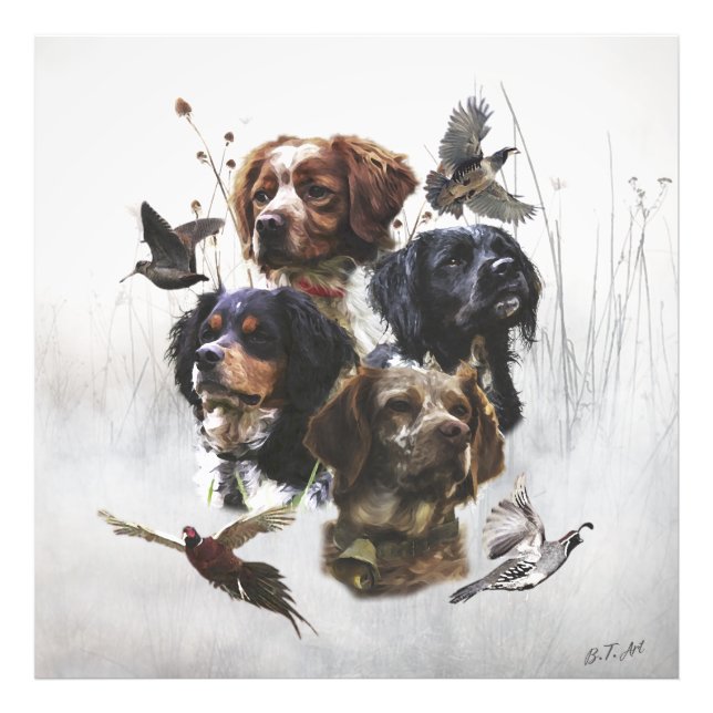 The Brittany Spaniels , Bird Hunting Season Photo Print (Front)