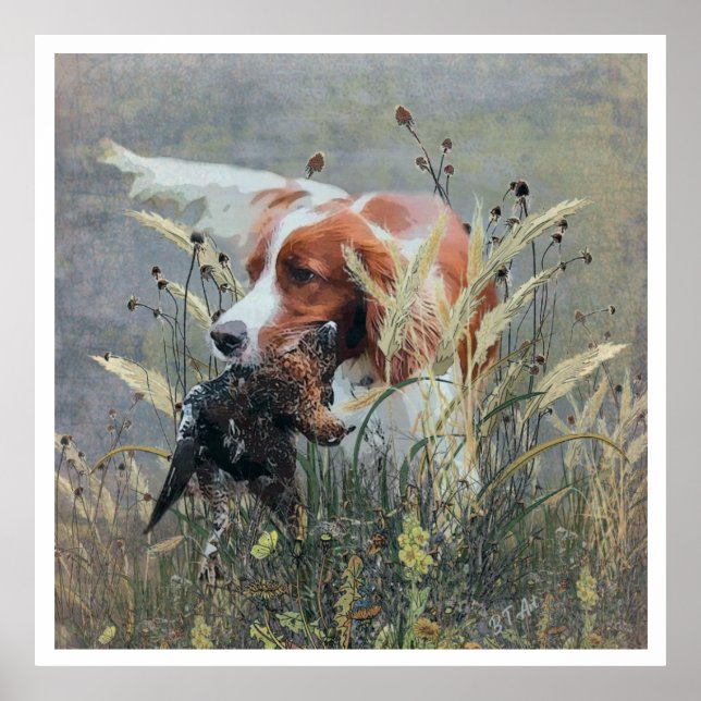 The Brittany Spaniels , Bird Hunting Season Poster (Front)