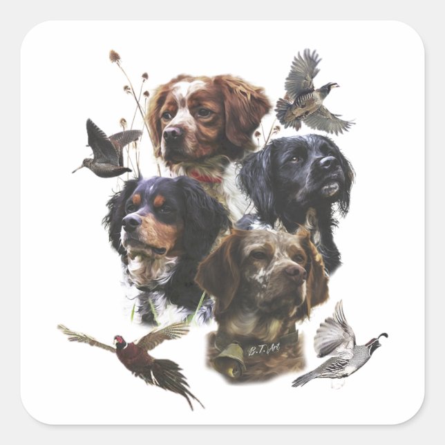 The Brittany Spaniels , Bird Hunting Season Square Sticker (Front)