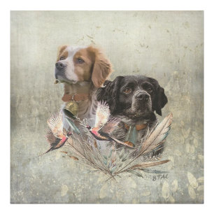 The Brittany Spaniels,  French Brittany, Bird dog, Photo Print