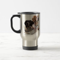 The Brittany Spaniels, French Brittany, Bird dog,