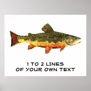 The Brook Trout Poster