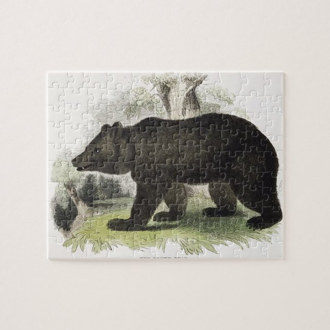 The Brown Bear, educational illustration pub. by t Jigsaw Puzzle (Horizontal)
