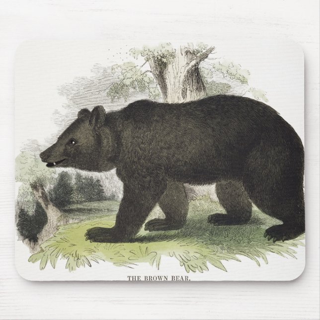 The Brown Bear, educational illustration pub. by t Mouse Pad (Front)