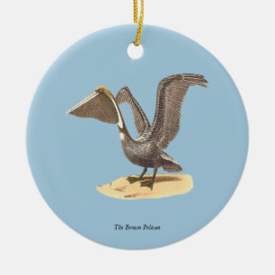 The Brown Pelican (Pelecanus occidentalis) NY Bird Ceramic Ornament