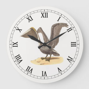 The Brown Pelican (Pelecanus occidentalis) NY Bird Large Clock