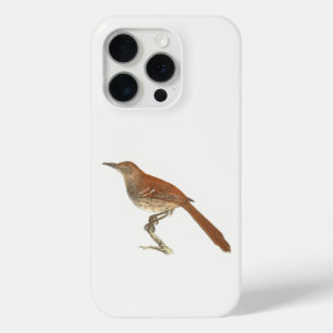 The Brown Thrush or Brown Thrasher, New York Birds iPhone 15 Pro Case