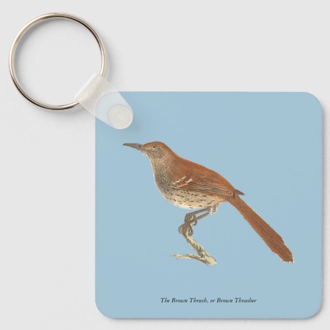 The Brown Thrush or Brown Thrasher, New York Birds Keychain (Front)