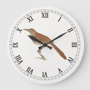 The Brown Thrush or Brown Thrasher, New York Birds Large Clock