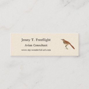 The Brown Thrush or Brown Thrasher, New York Birds Mini Business Card
