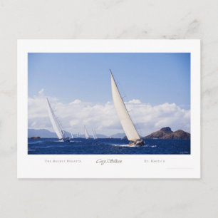 The Bucket Regatta Postcard