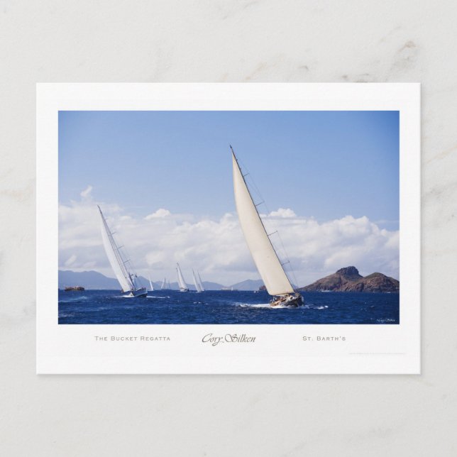 The Bucket Regatta Postcard (Front)