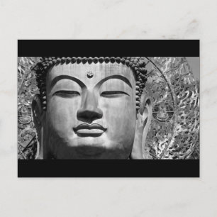 The Buddha Postcard